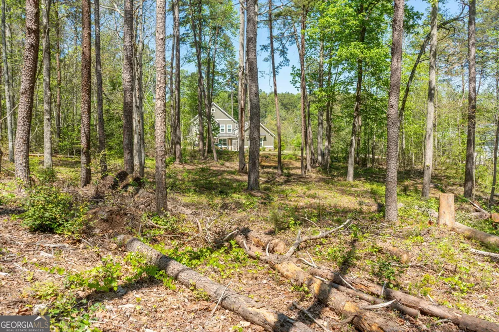 0 Red June lot 1318 & 1319 LN Clarkesville, GA 30523