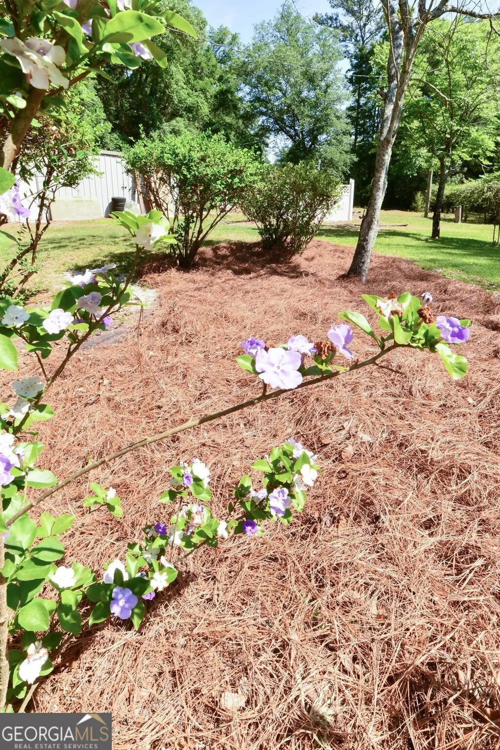 39 Adams ST Jesup, GA 31545