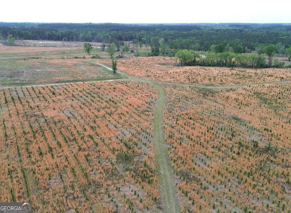 006 Beulah Road Tract 6 Sylvania, GA 30467