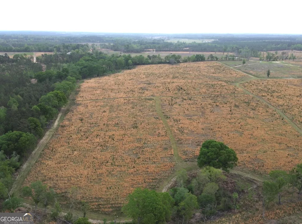 006 Beulah Road Tract 6 Sylvania, GA 30467