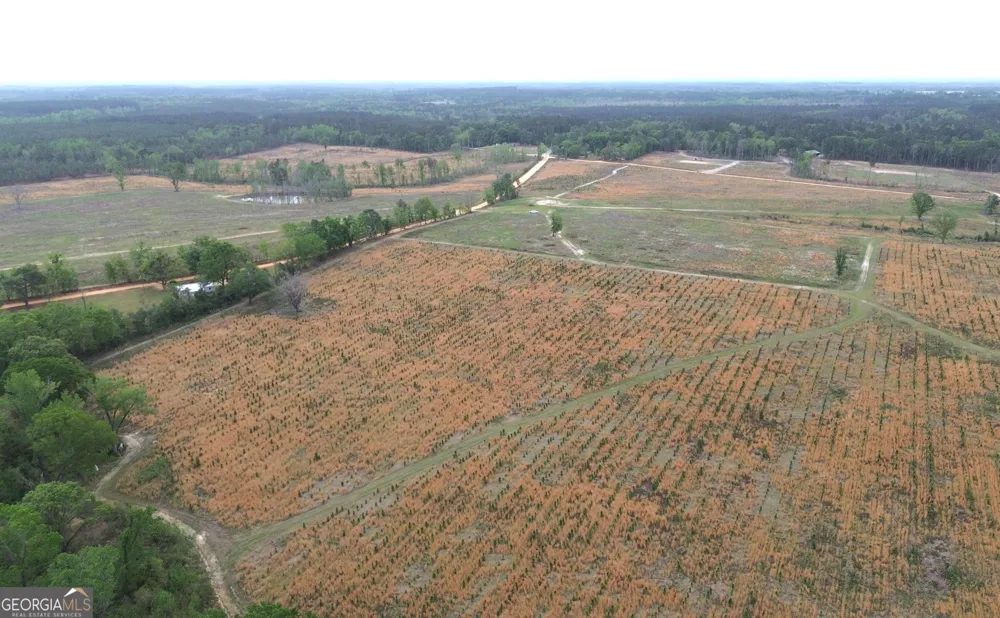 006 Beulah Road Tract 6 Sylvania, GA 30467