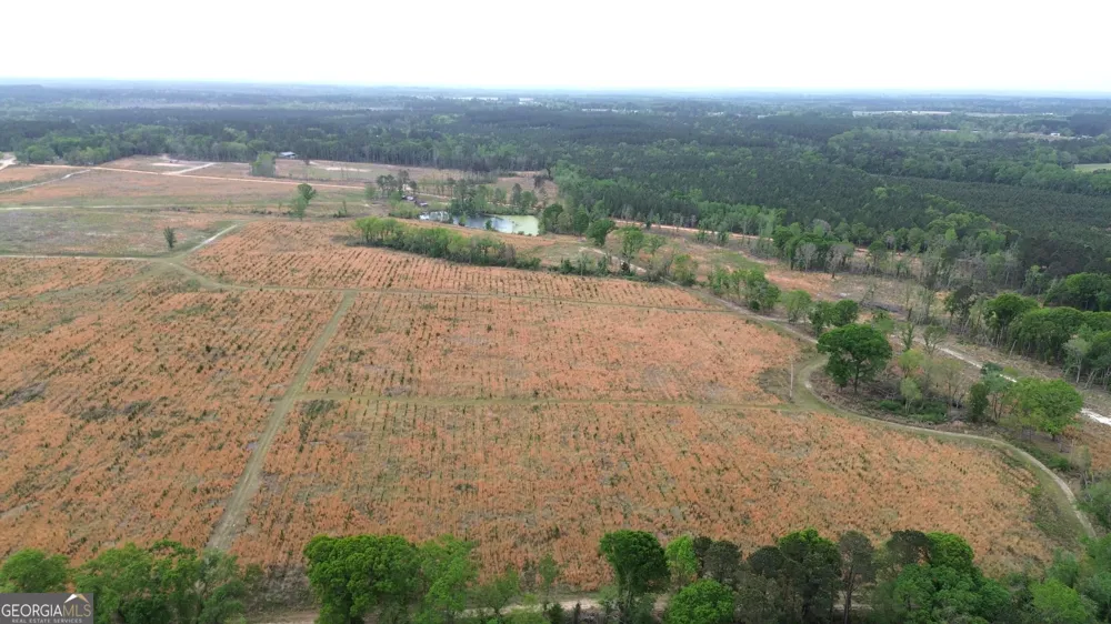 006 Beulah Road Tract 6 Sylvania, GA 30467