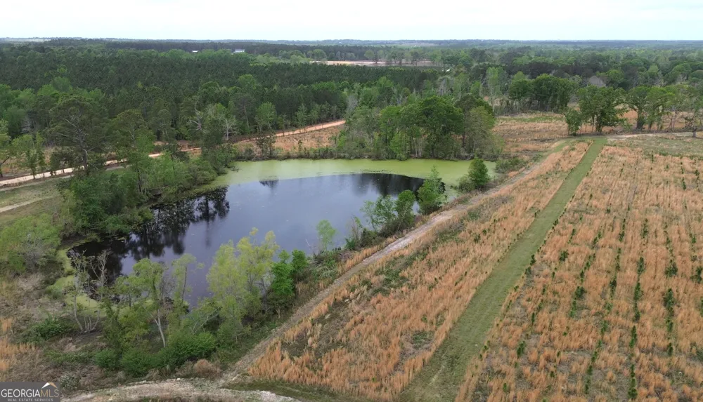006 Beulah Road Tract 6 Sylvania, GA 30467