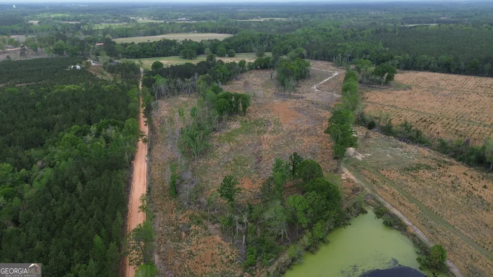 006 Beulah Road Tract 6 Sylvania, GA 30467