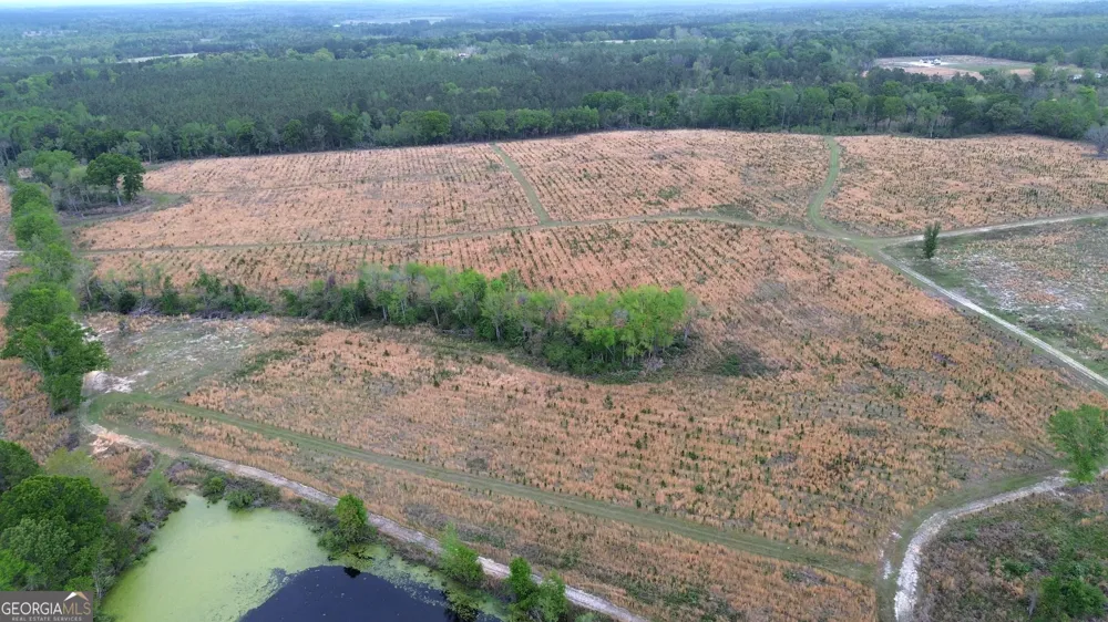 006 Beulah Road Tract 6 Sylvania, GA 30467