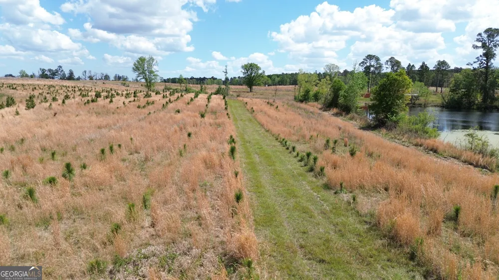 006 Beulah Road Tract 6 Sylvania, GA 30467