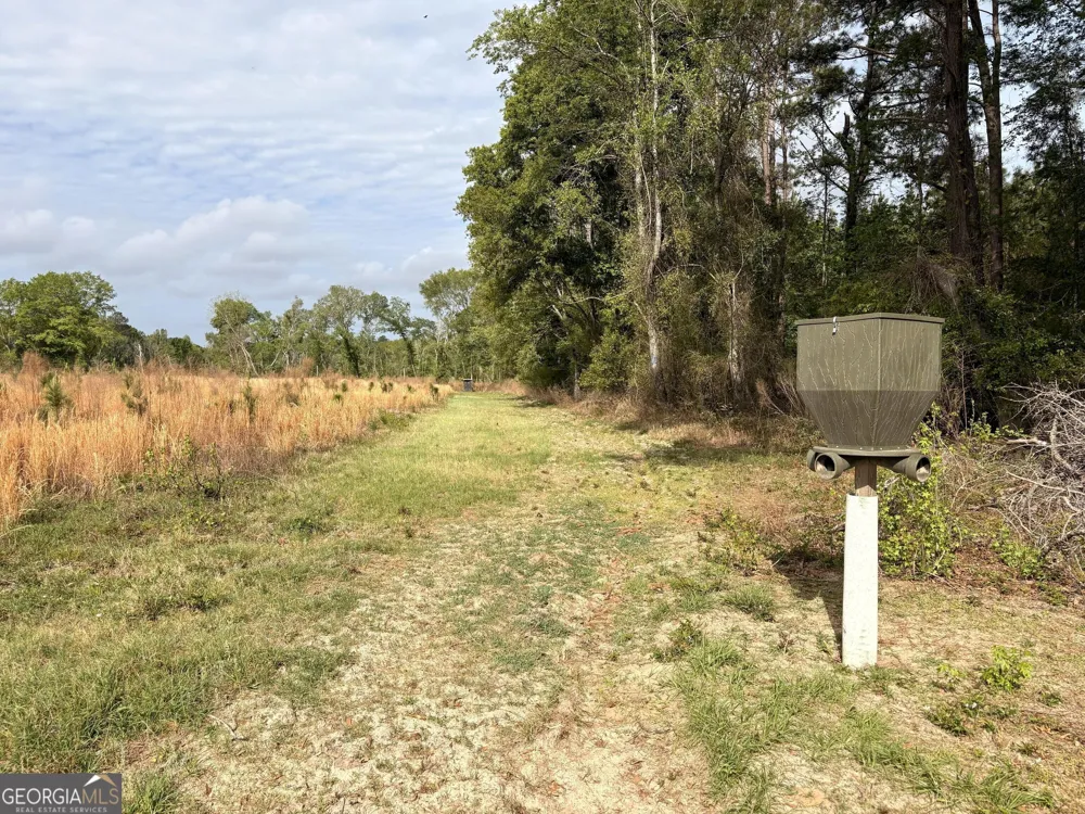 006 Beulah Road Tract 6 Sylvania, GA 30467