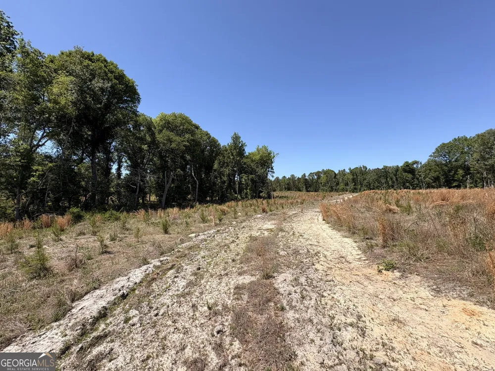 006 Beulah Road Tract 6 Sylvania, GA 30467