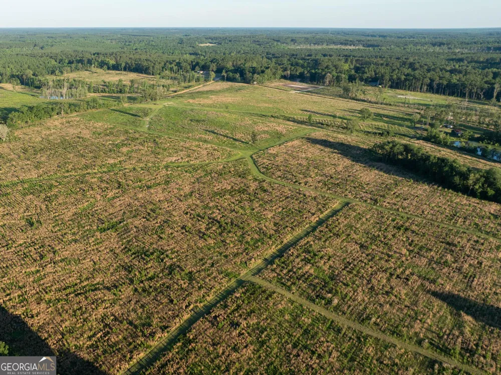 006 Beulah Road Tract 6 Sylvania, GA 30467