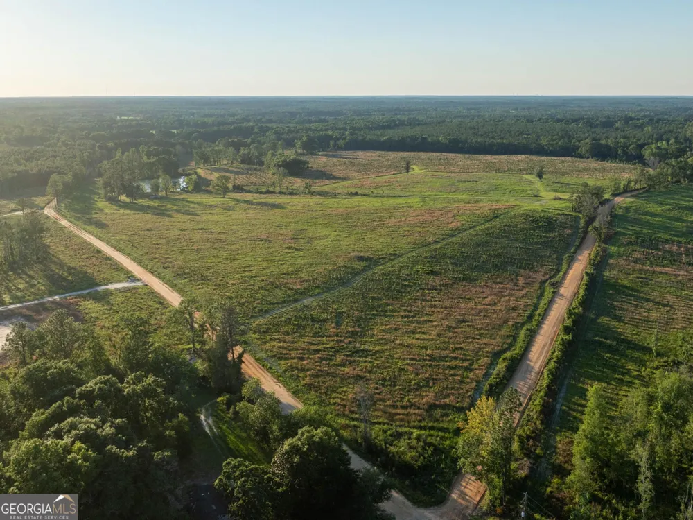006 Beulah Road Tract 6 Sylvania, GA 30467
