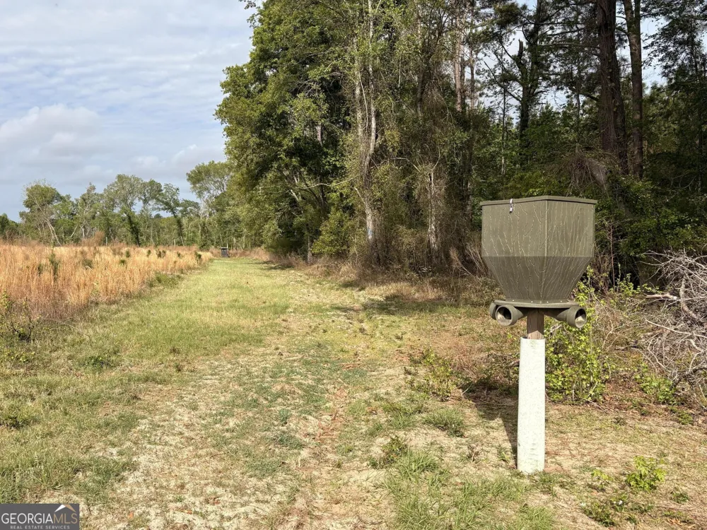 006 Beulah Road Tract 6 Sylvania, GA 30467