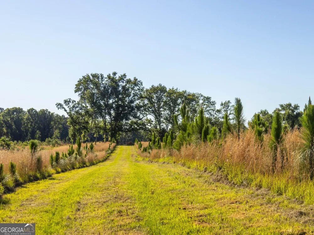 006 Beulah Road Tract 6 Sylvania, GA 30467