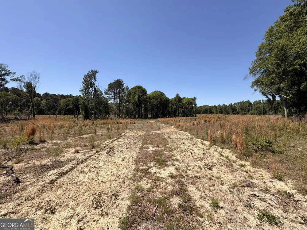 006 Beulah Road Tract 6 Sylvania, GA 30467