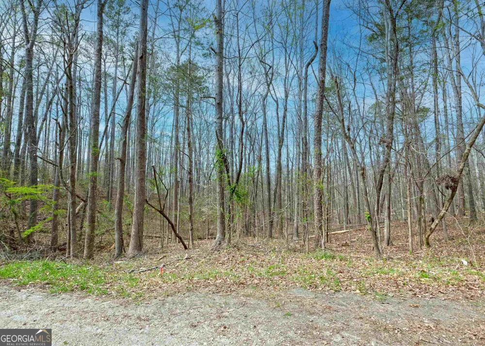 0 Lake View DR Lavonia, GA 30553