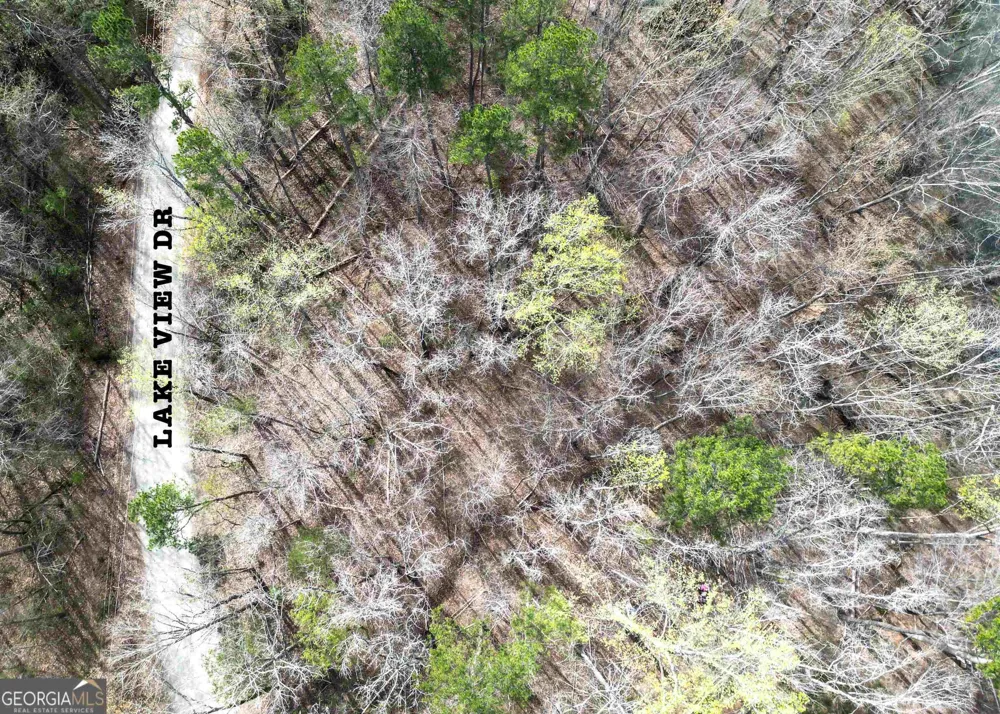 0 Lake View DR Lavonia, GA 30553