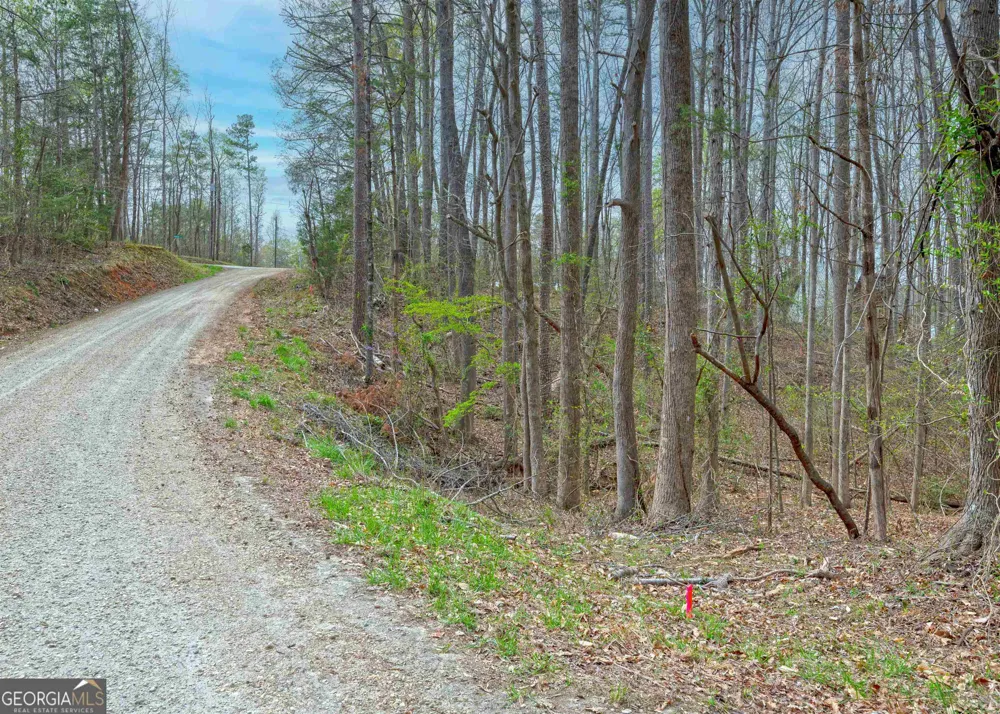 0 Lake View DR Lavonia, GA 30553