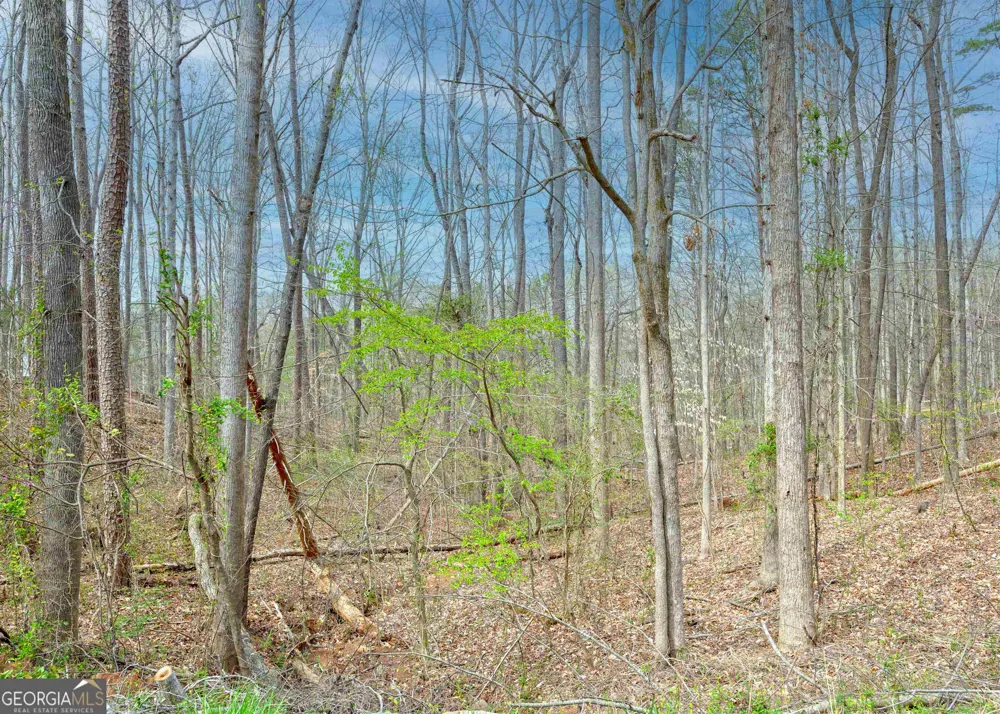 0 Lake View DR Lavonia, GA 30553