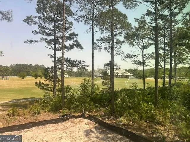 105 Lone Pine CT Waverly, GA 31565