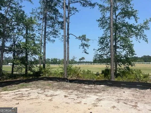 105 Lone Pine CT Waverly, GA 31565