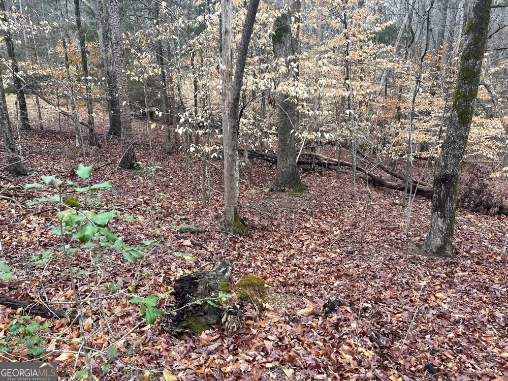 LOT 43 Chickasaw DR Westminster, SC 29693
