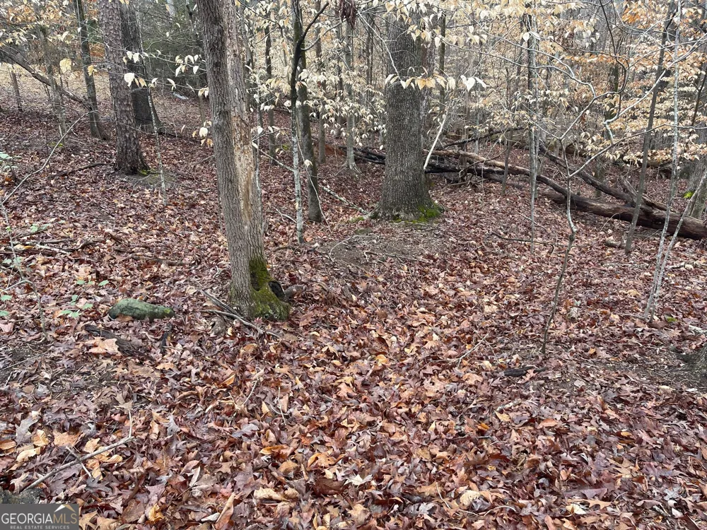 LOT 43 Chickasaw DR Westminster, SC 29693