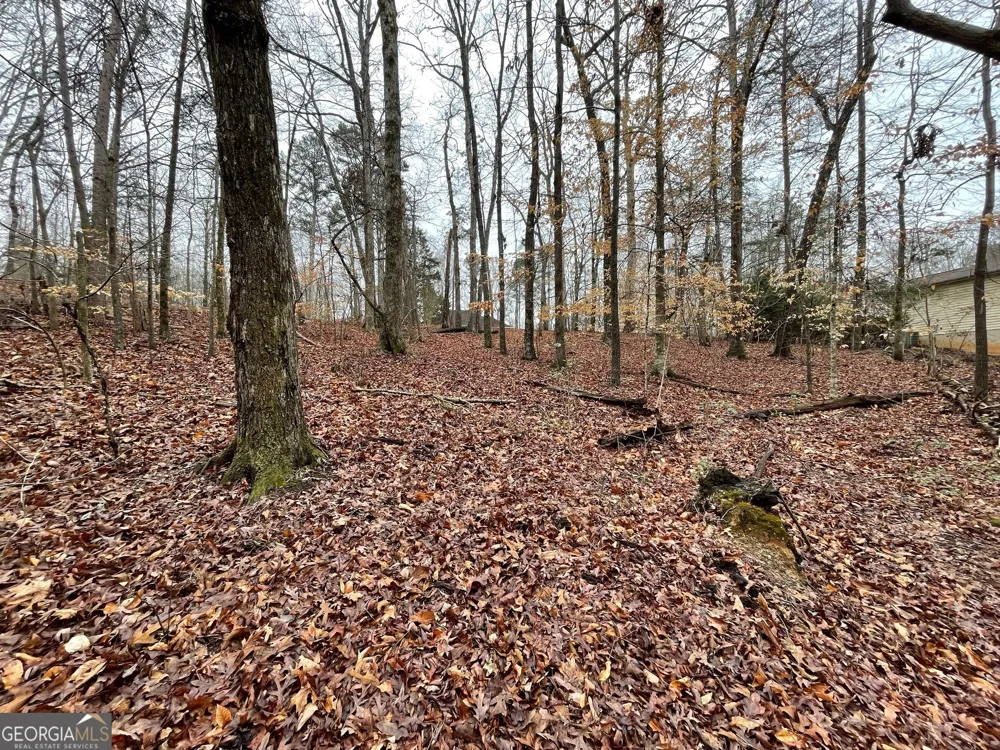 LOT 43 Chickasaw DR Westminster, SC 29693