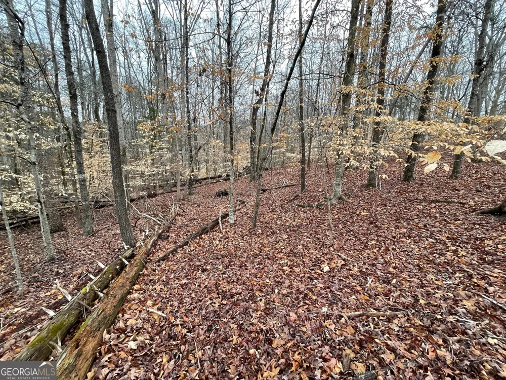 LOT 43 Chickasaw DR Westminster, SC 29693