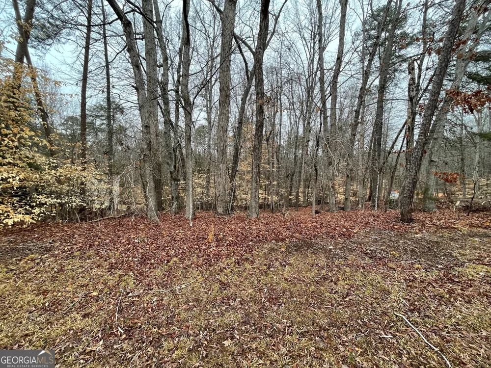LOT 43 Chickasaw DR Westminster, SC 29693