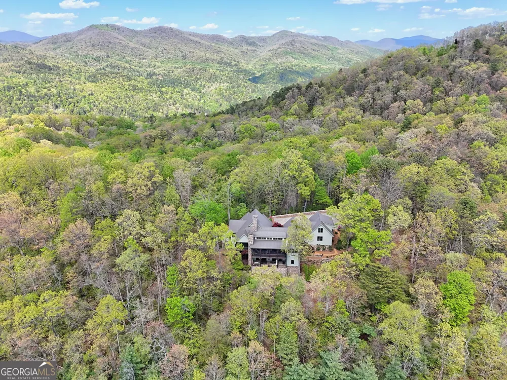 913 Tiger Pass DR Tiger, GA 30576