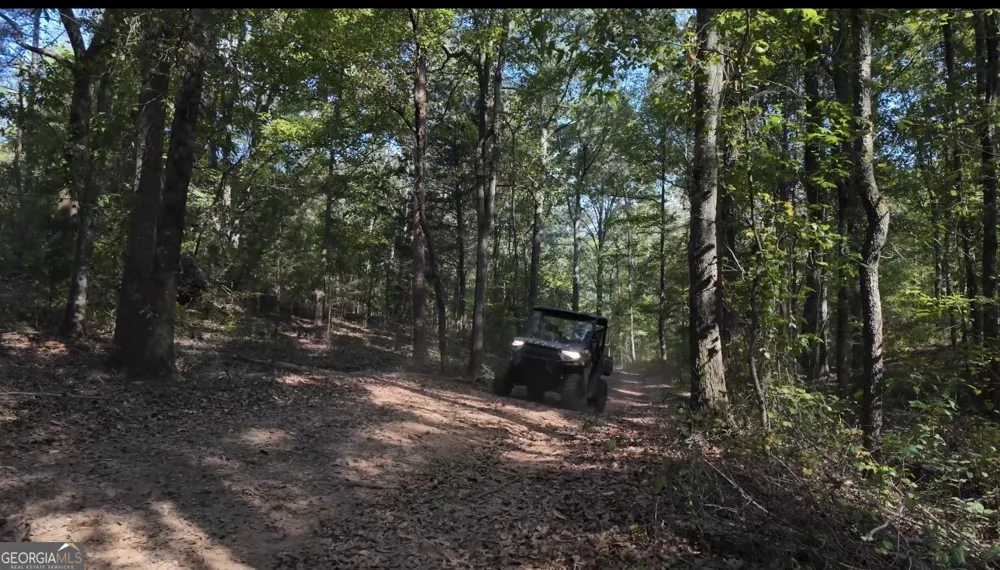 2011 Stinchcomb RD Dewy Rose, GA 30634