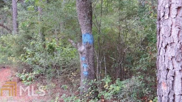 0 Area Line RD Claxton, GA 30417