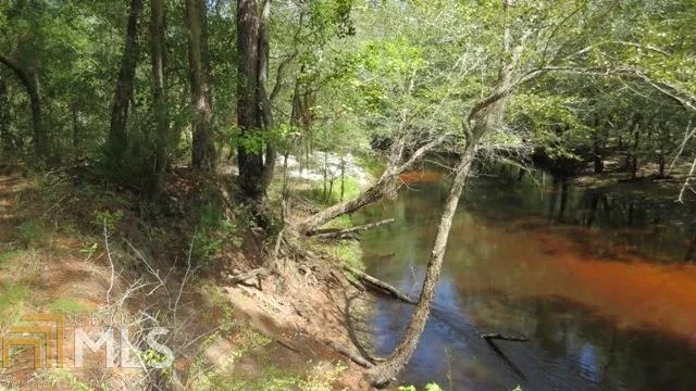 0 Area Line RD Claxton, GA 30417