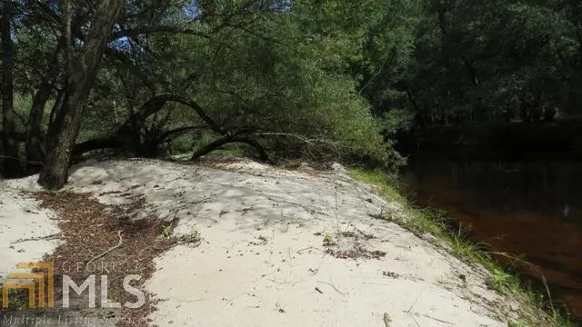 0 Area Line RD Claxton, GA 30417