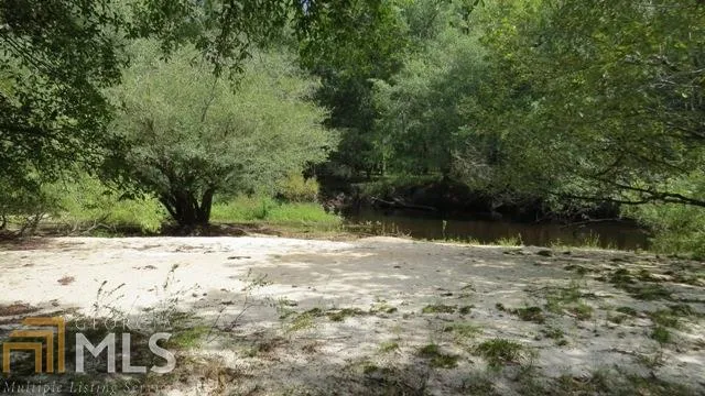 0 Area Line RD Claxton, GA 30417