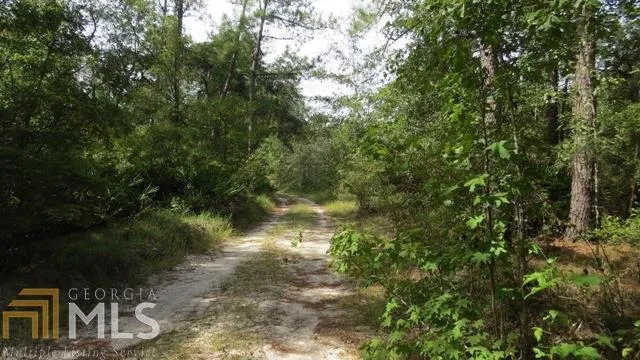 0 Area Line RD Claxton, GA 30417