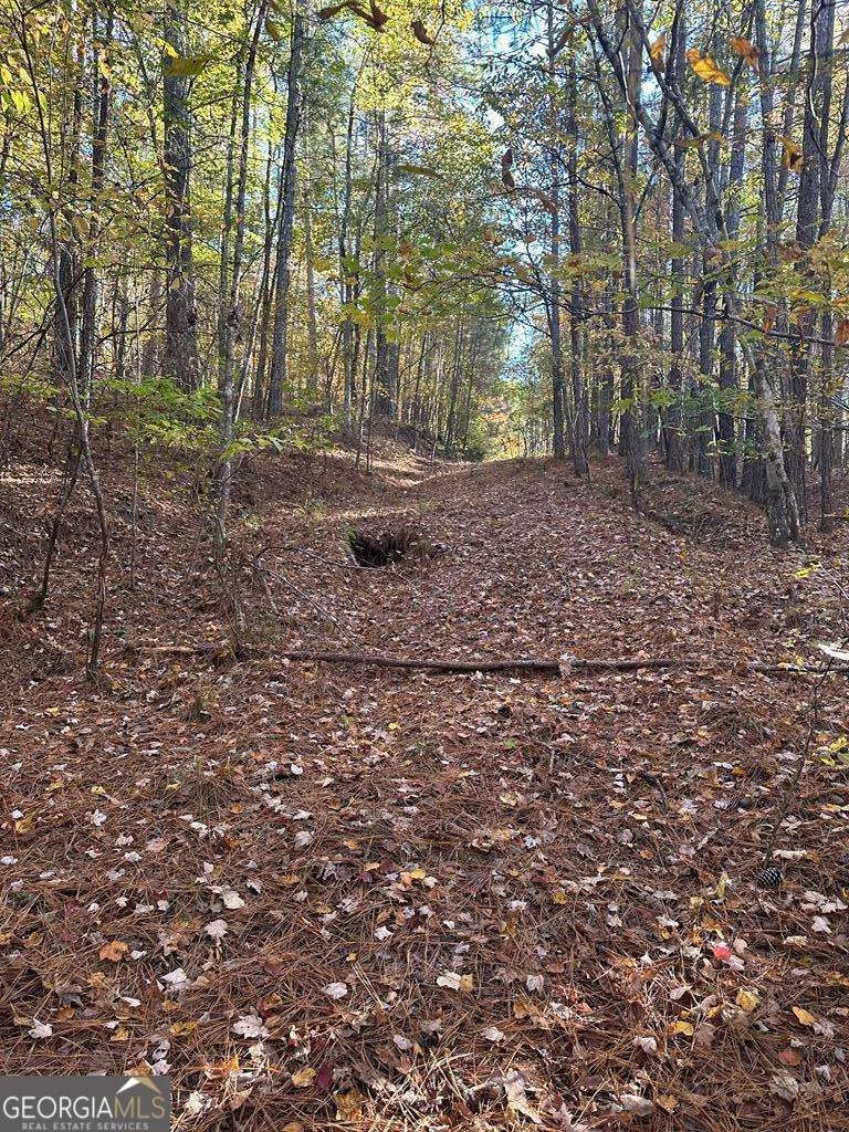 LOT #4 Frontier Shores RD Sparta, GA 31087