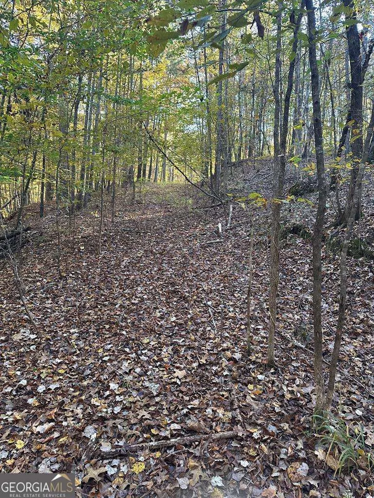 LOT #4 Frontier Shores RD Sparta, GA 31087