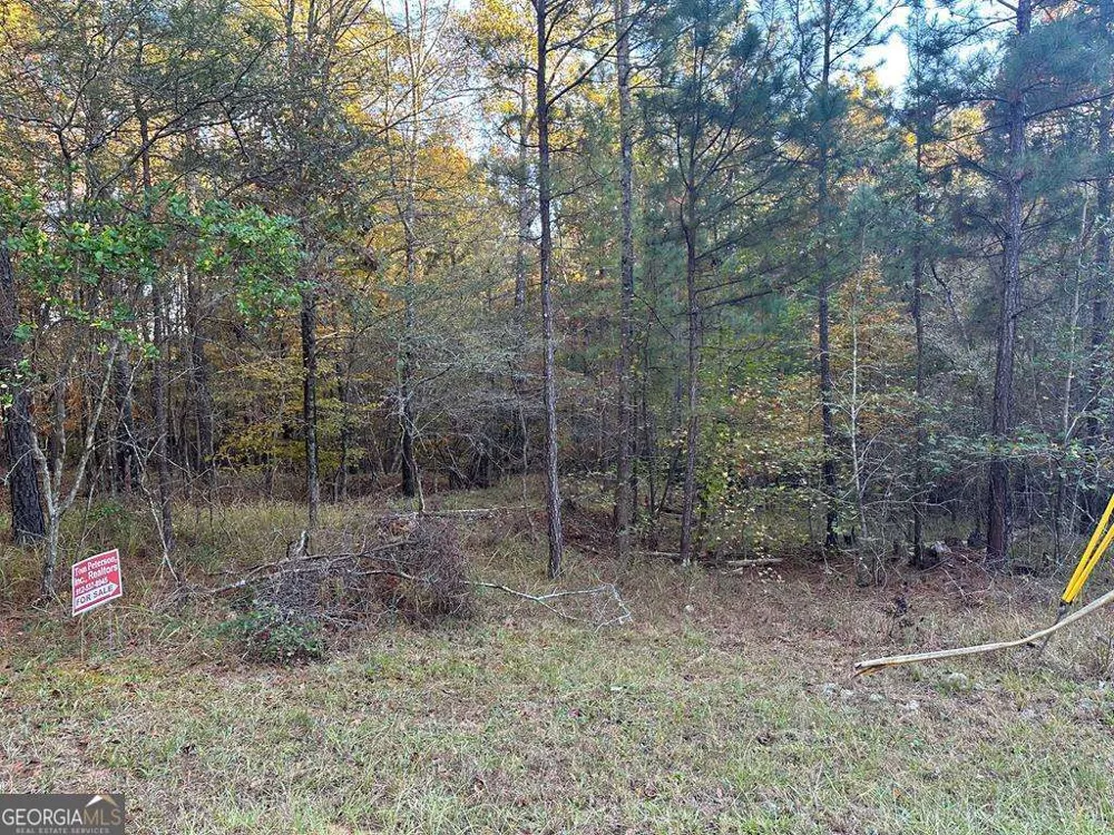 LOT #4 Frontier Shores RD Sparta, GA 31087