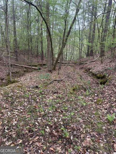 LOT #4 Frontier Shores RD Sparta, GA 31087