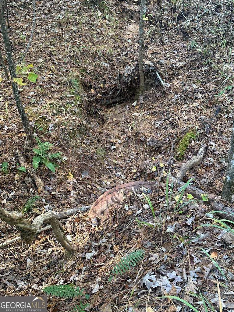 LOT #4 Frontier Shores RD Sparta, GA 31087