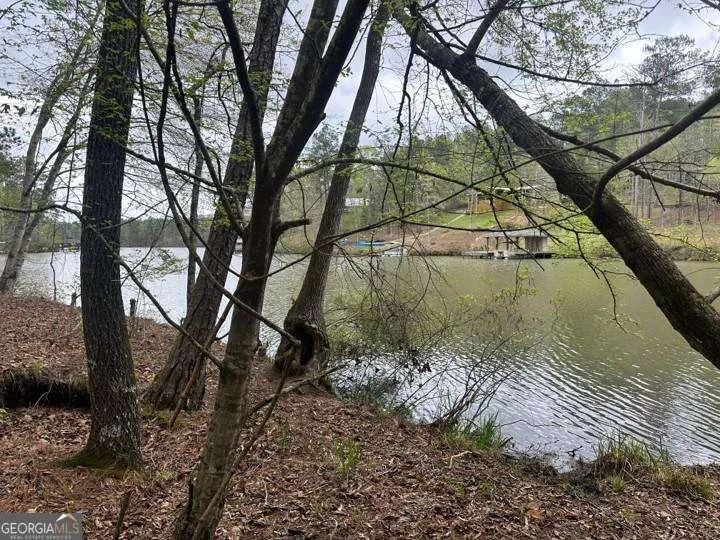 LOT #4 Frontier Shores RD Sparta, GA 31087
