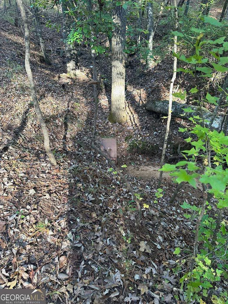 LOT #4 Frontier Shores RD Sparta, GA 31087