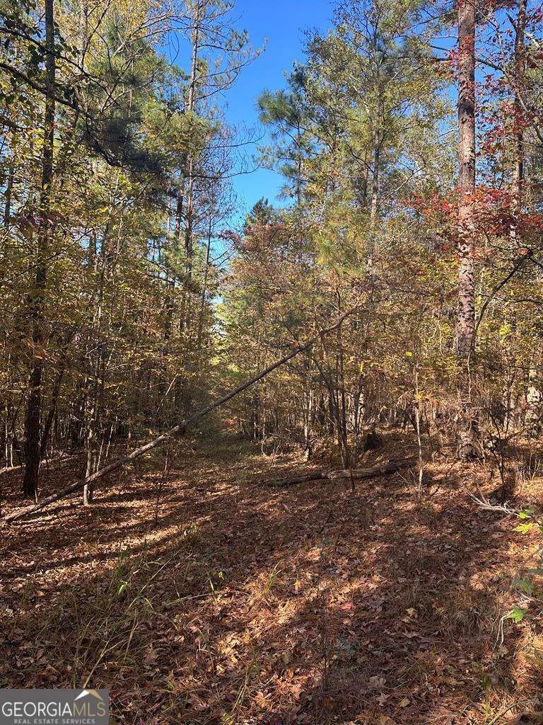 LOT #4 Frontier Shores RD Sparta, GA 31087
