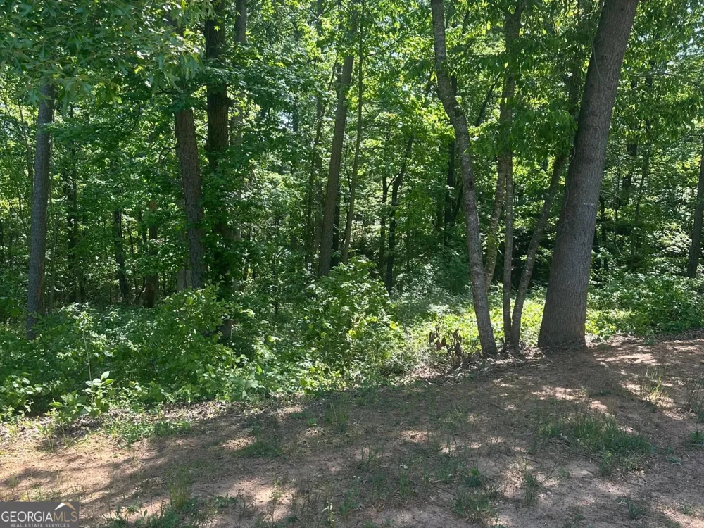 0 Hammers Glen DR Homer, GA 30547