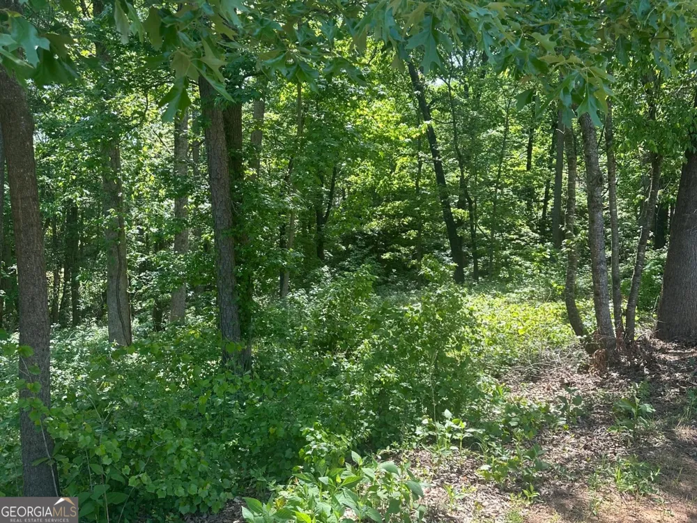 0 Hammers Glen DR Homer, GA 30547