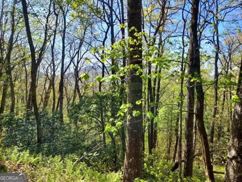 0 LOT 40 Pipetrack Gap RD