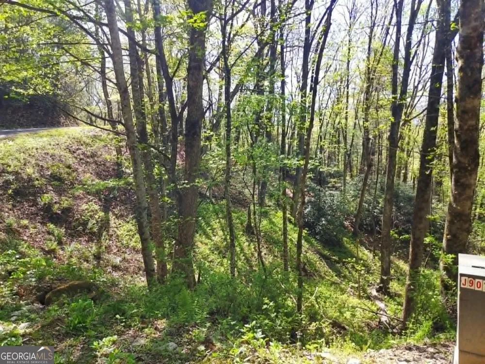0 LOT 40 Pipetrack Gap RD Scaly Mtn, NC 28775