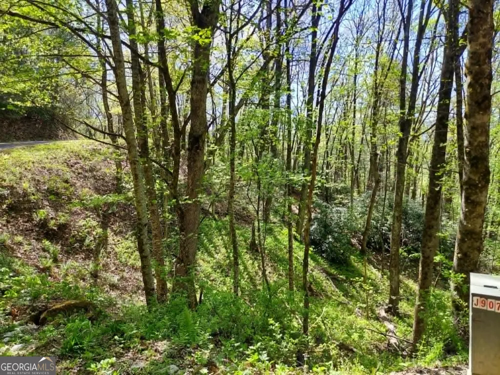0 LOT 40 Pipetrack Gap RD Scaly Mtn, NC 28775