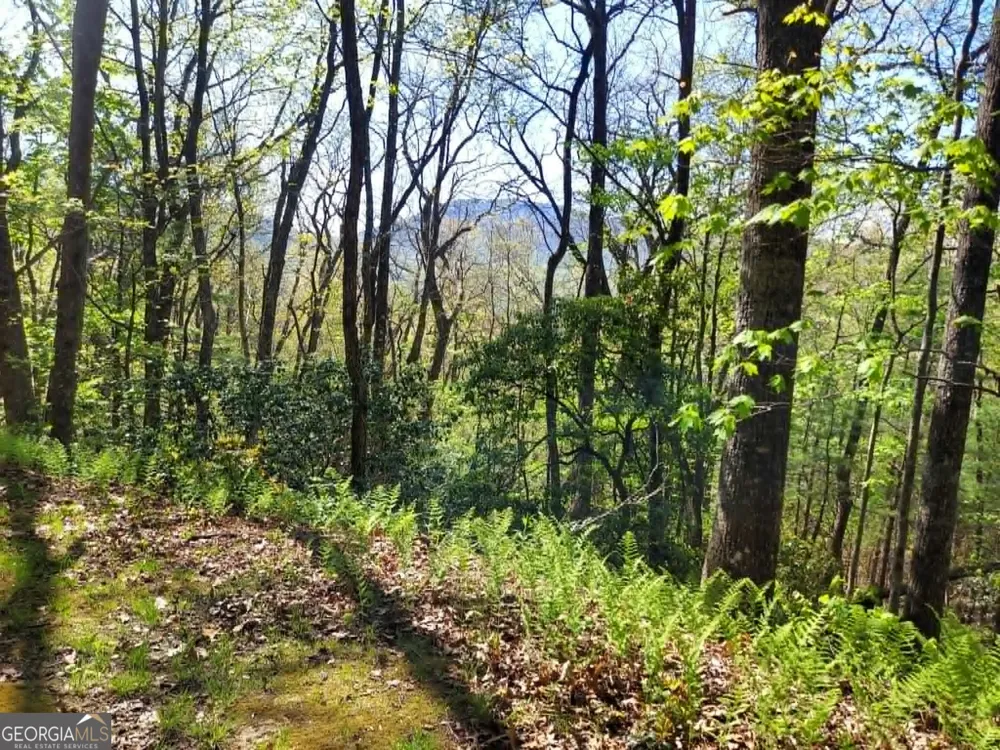 0 LOT 40 Pipetrack Gap RD Scaly Mtn, NC 28775