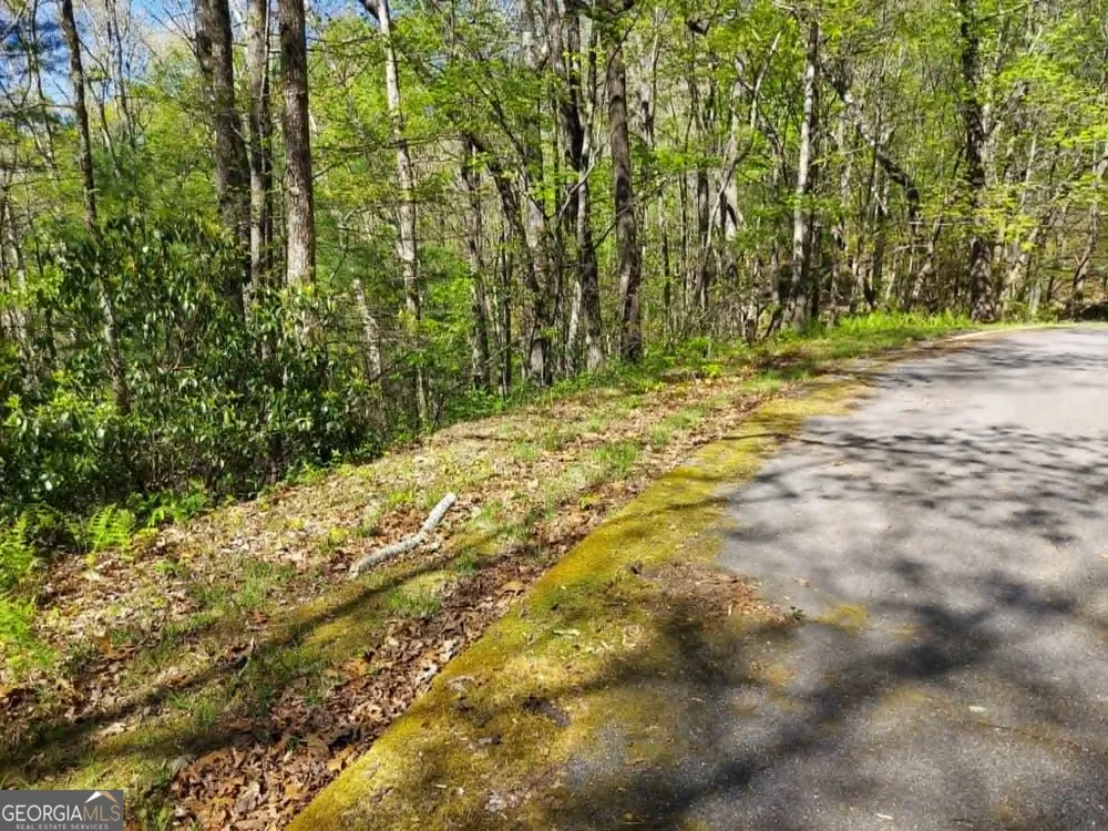 0 LOT 40 Pipetrack Gap RD Scaly Mtn, NC 28775